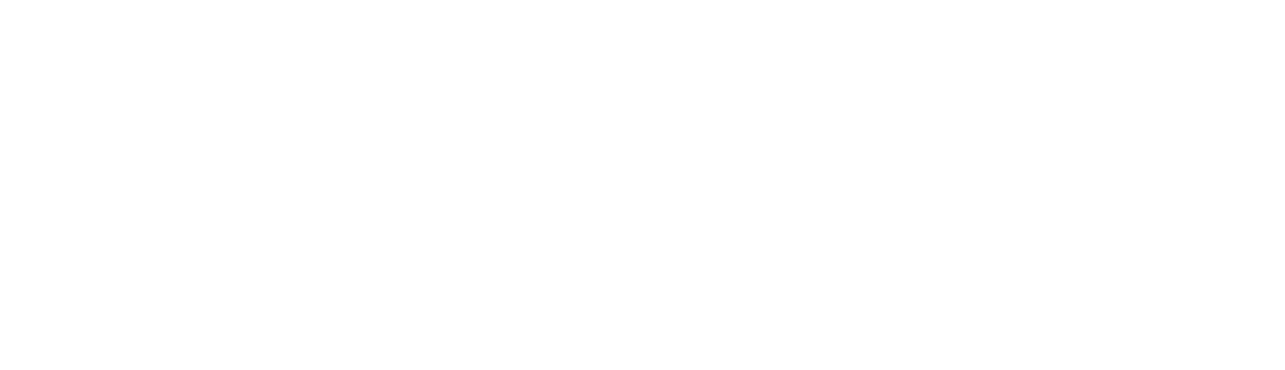 Vibgyor Global Web Solutions